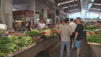 南部重拳出擊 嚴查食品藥品商家，15起食用農(nóng)產(chǎn)品批發(fā)案件移交公安機關